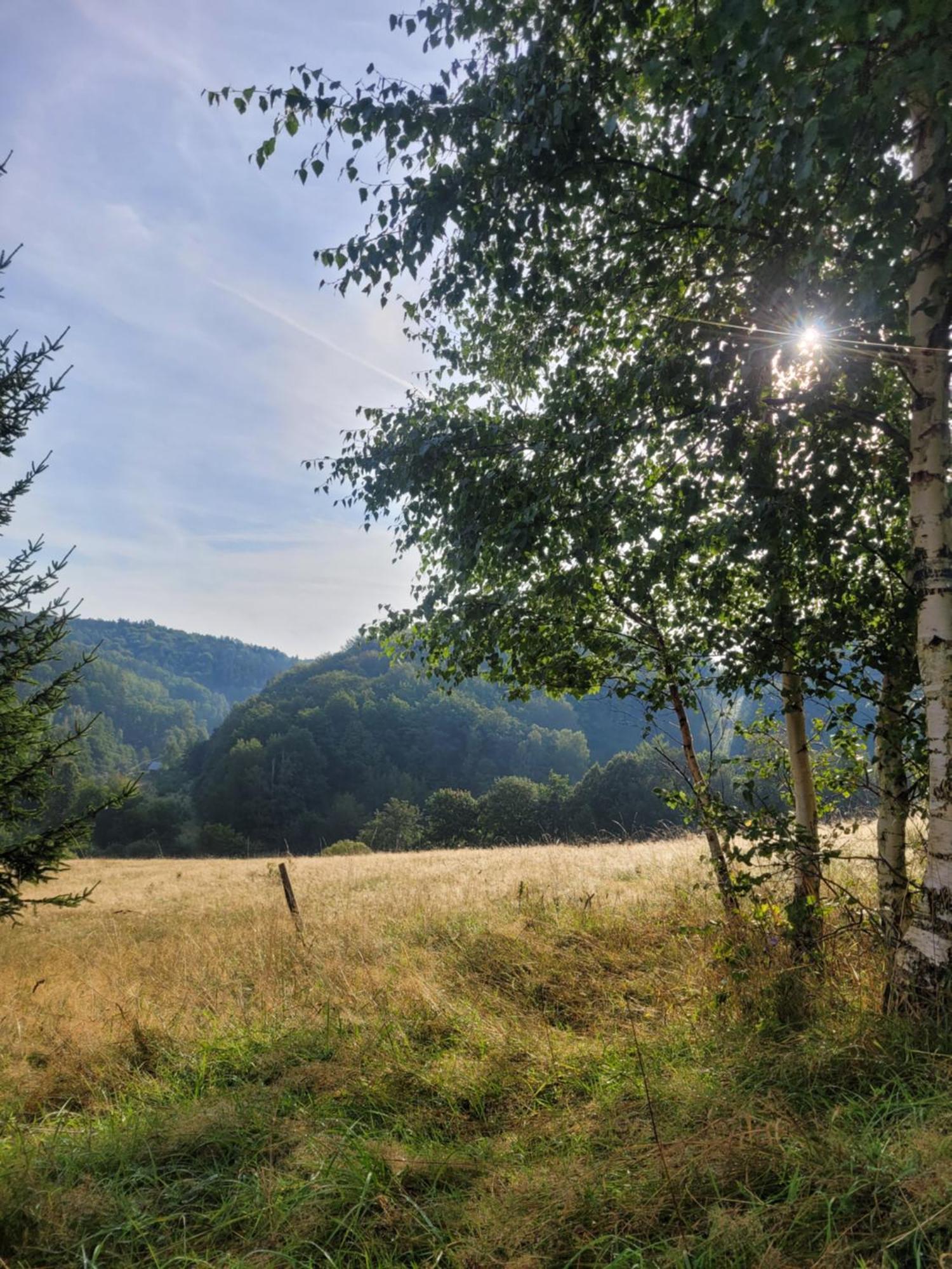 Forest Camp Dom W Gorach Sowich Michalkowa 外观 照片