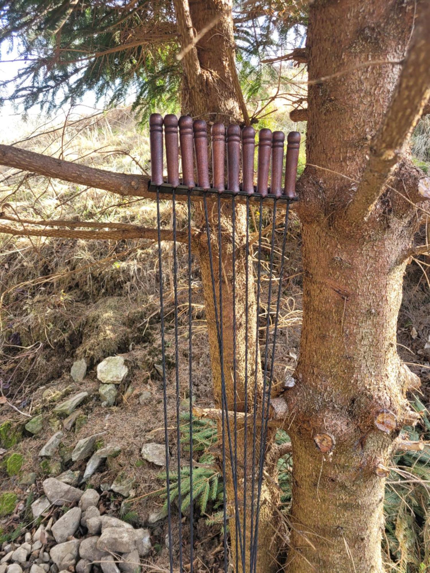 Forest Camp Dom W Gorach Sowich Michalkowa 外观 照片