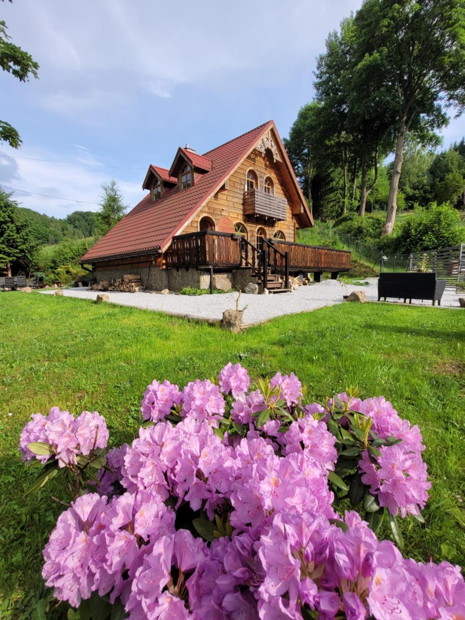 Forest Camp Dom W Gorach Sowich Michalkowa 外观 照片
